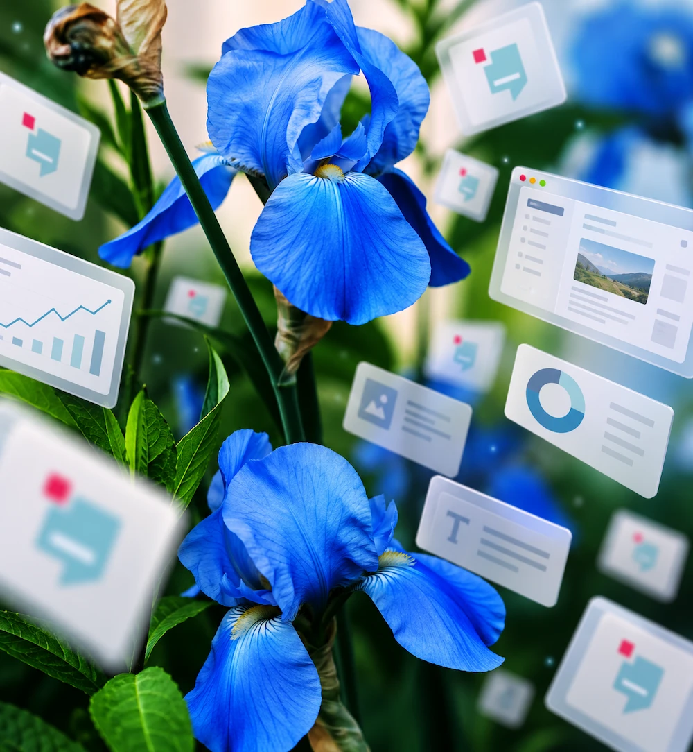 Iris CMS